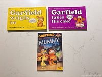 Group shot of all three Garfield books