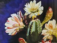 close view of cactus blossoms detail