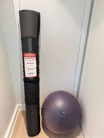 Rolled HapBear mat in carry sleeve standing beside GoFit stability ball