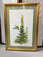 Front view showing full framed print, subject, mat and frame