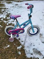 Left side view showing entire bicycle, frame color, chain guard, training wheel.
