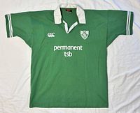 Full front view showing jersey design, colour and logos