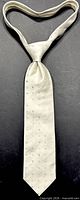 Full view of ivory silk tie knotted to show length and pattern