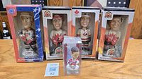 Front view of all five boxed bobbleheads on table