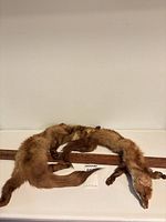 Full view of mink stole coiled beside wooden ruler