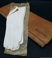 Glove case, gloves and parchment bag side by side