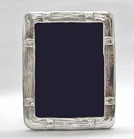 Front view of sterling silver bamboo-style frame