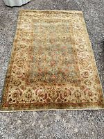 Full view of rug showing pattern and size