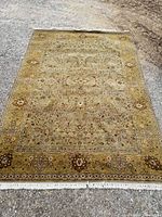 full view of the 6 x 9 wool area rug on ground