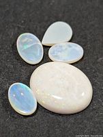 Five loose opal cabochons on black background