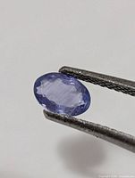 Loose oval tanzanite held in tweezers front view
