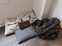 Group shot of three pillows, faux fur throw and wooden chest on floor