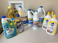 Group shot of all eleven cleaning supply items on tabletop