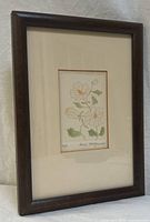 Framed artwork overall view showing frame, mat, and artwork placement