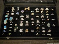 Full tray view showing entire assortment of rings