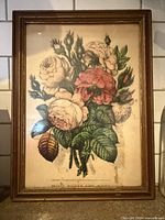 Front view of framed botanical print showing floral image