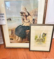 Overall view both framed prints