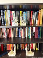 Bookshelves with assorted hardcover and paperback books plus onyx bust bookends and beige onyx bookends