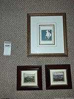 Overall view of three framed pictures on wall