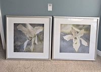 Both framed orchid pictures side by side