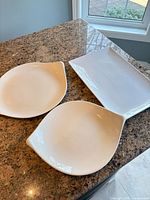 Two leaf-shaped dishes and rectangular platter on countertop