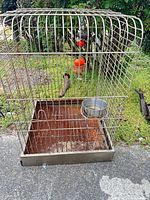 Front view of bird cage with rusted tray, perch, bowl and toy