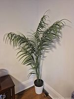 Full view of artificial plant in white pot, left angle