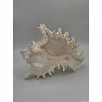 Front view showing interior blush tone and spiked lip