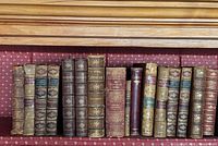 Shelf view of all leather-bound books showing spines, gilt work and condition