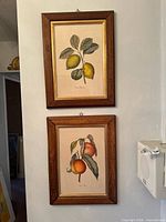 Both framed fruit prints hanging on wall