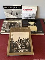 All five books arranged together showing covers