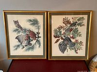 Both framed bird prints side by side
