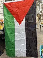Full view of the new Palestine flag showing colors and size