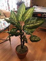 Tall artificial dieffenbachia in terracotta-style plastic pot with moss