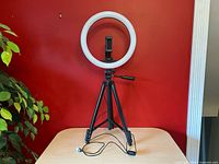Ring light kit on short tripod with power cord visible