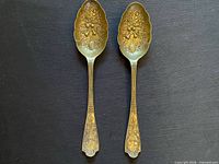 Full view of both brass serving spoons front side