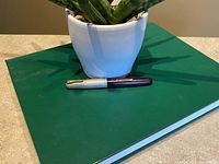 Full view of Waterman fountain pen on green book showing cap and barrel