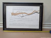 Front view of framed Minard flow map print