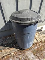 Blue Rubbermaid Roughneck trash can with lid standing outside