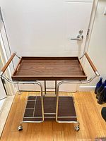 Full view of bar cart showing tray, frame, shelves, and casters