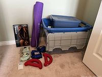 Group shot showing yoga mat, boxed heating pad, sleeping mask package, ankle weights, hand weights, grey/blue storage tote with additional tote and basket inside