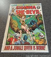 Front cover in protective bag