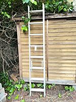 Full view of aluminum extension ladder leaning against wooden wall