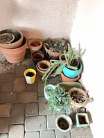 Cluster of assorted terracotta, ceramic and plastic pots on patio