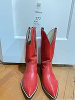 Front view of both boots showing pointed toes and color