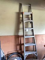Full view of aluminum extension ladder leaning against wall