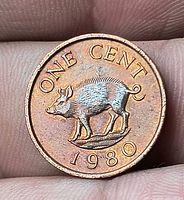 Reverse showing hog design, legends ONE CENT 1980