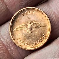 Reverse of 1967 Canada 1-cent coin showing rock dove design and dates 1867-1967