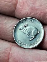 Reverse of coin: rabbit design, denomination, dates