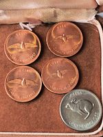 Obverse view of four 1-cent coins and one 5-cents coin in case